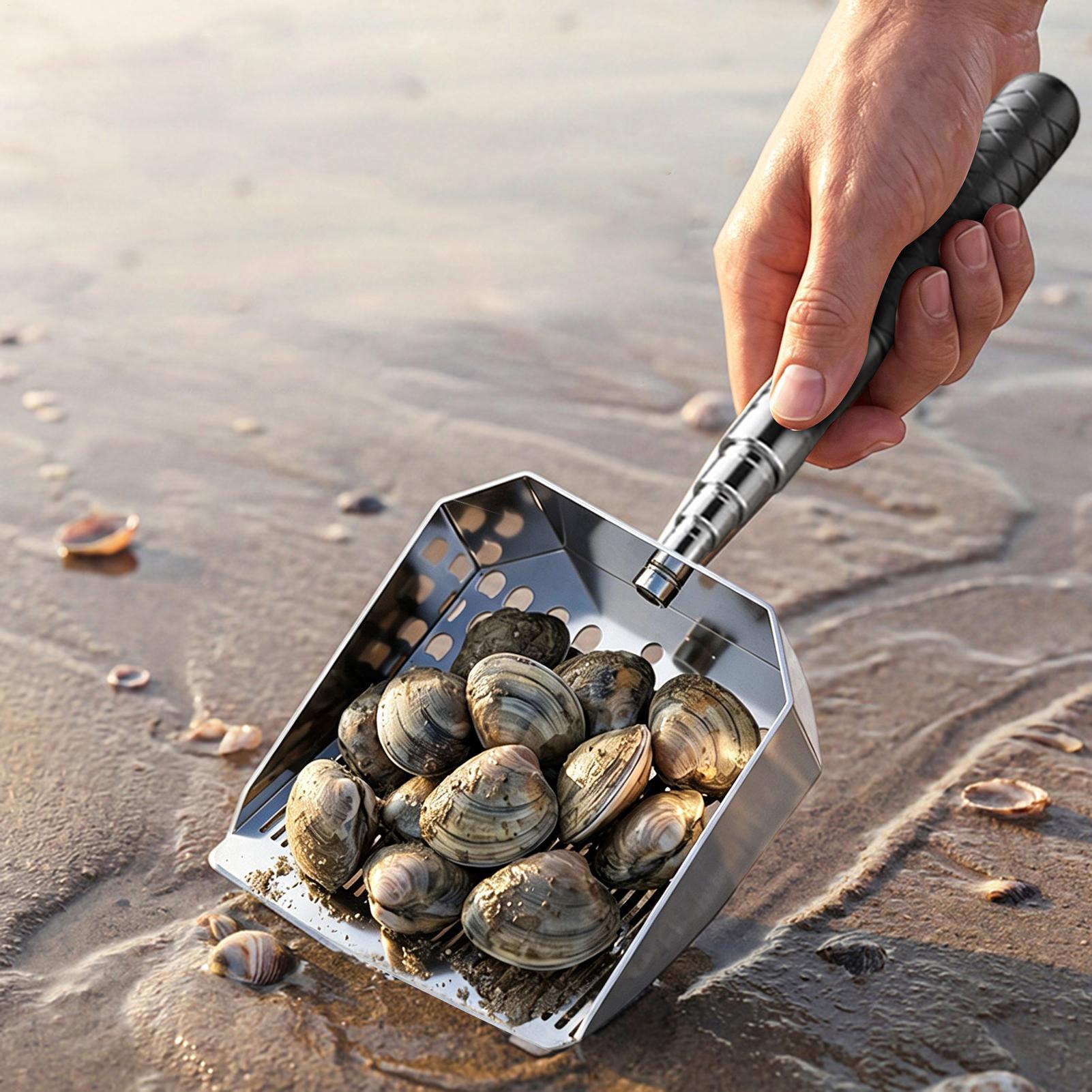 Zandschep van roestvrij staal, - Sand Scoop Stainless Steel Beach Digging recensie en prijs