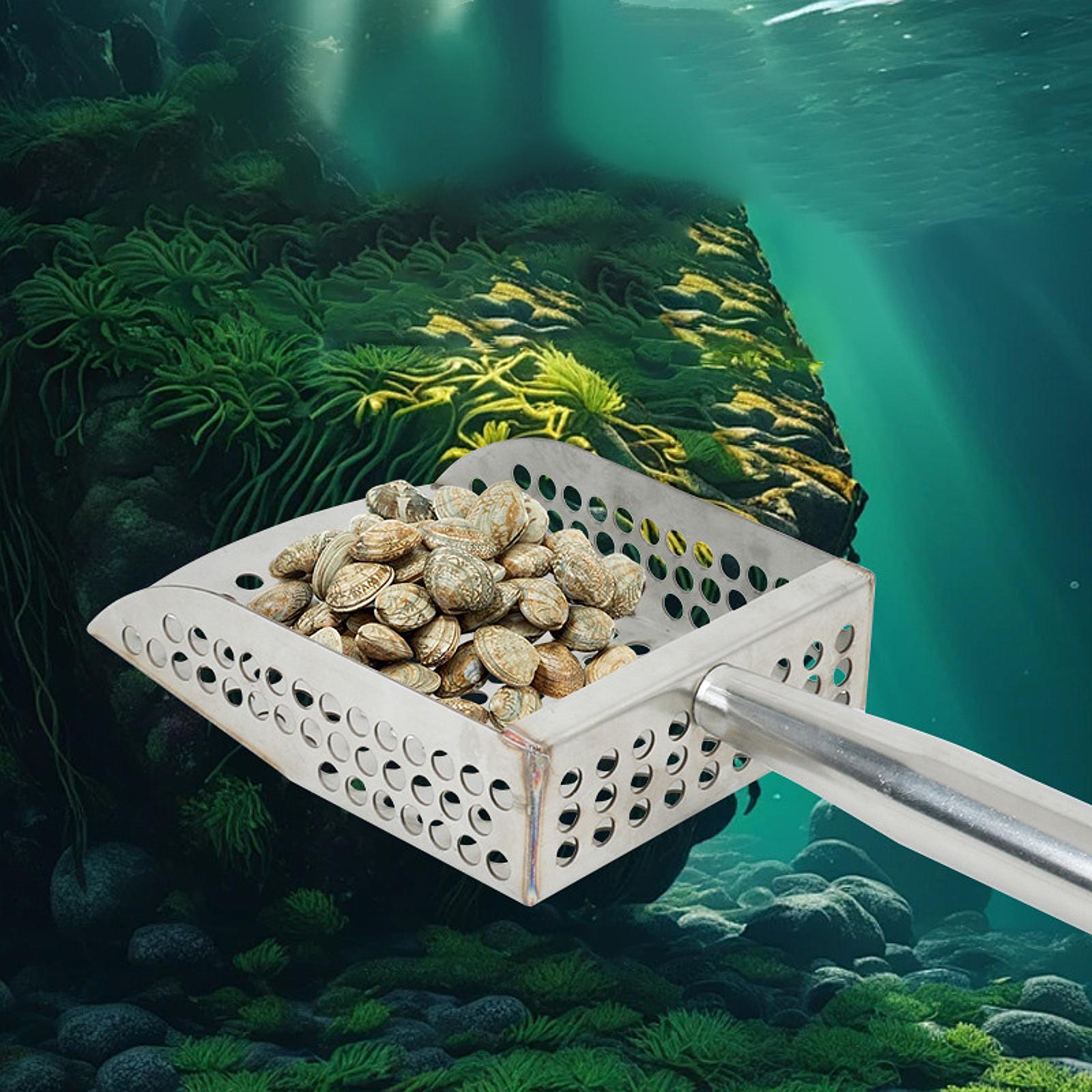 Zandschep Handheld Comfortabel - Sand Scoop Stainless Steel Beach Digging recensie en prijs
